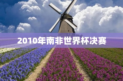 2010年南非世界杯决赛:西班牙夺冠 2010年南非世界杯决赛:西班牙夺冠