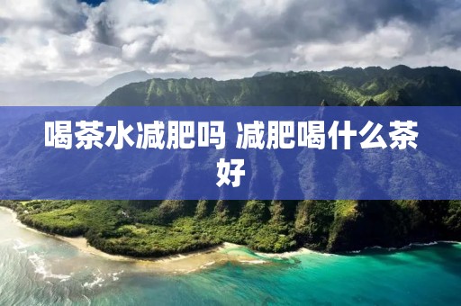 喝茶水减肥吗 减肥喝什么茶好