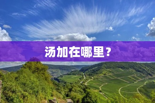 汤加在哪里？