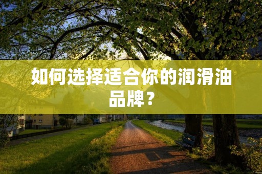 如何选择适合你的润滑油品牌？