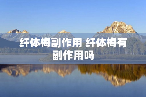 纤体梅副作用 纤体梅有副作用吗