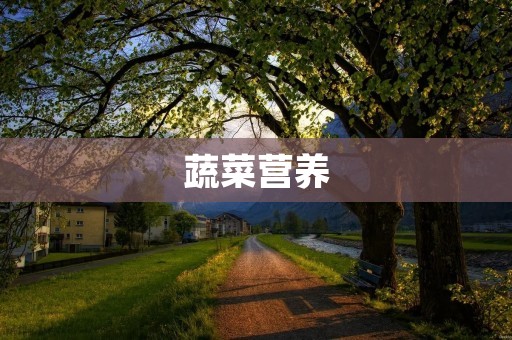 蔬菜营养：膳食中必不可少的重要组成部分