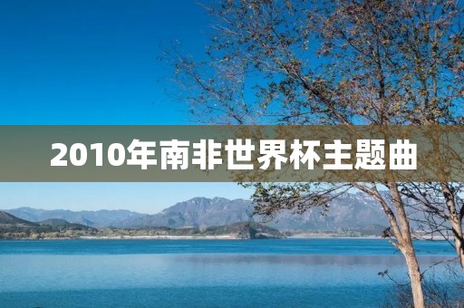2010年南非世界杯主题曲：《Waka Waka》
