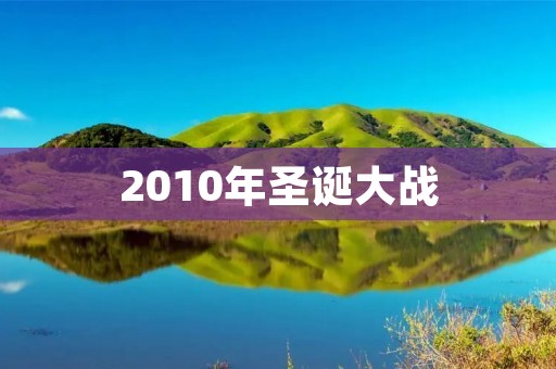 2010年圣诞大战：电商巨头间的竞争战