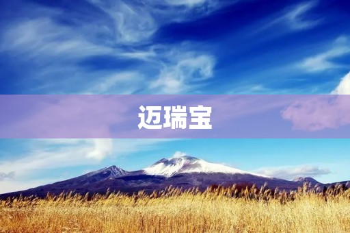 迈瑞宝：打造医疗设备行业的领军品牌