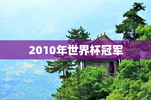 2010年世界杯冠军：西班牙队的辉煌夺冠之路