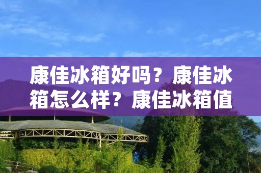 康佳冰箱好吗？康佳冰箱怎么样？康佳冰箱值得购买吗？
