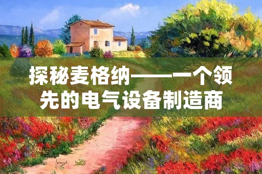 探秘麦格纳——一个领先的电气设备制造商 探秘麦格纳——一个领先的电气设备制造商