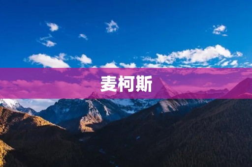 麦柯斯:领先的智能制造企业 麦柯斯:领先的智能制造企业