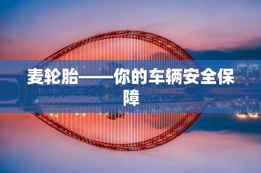 麦轮胎——你的车辆安全保障 麦轮胎——你的车辆安全保障
