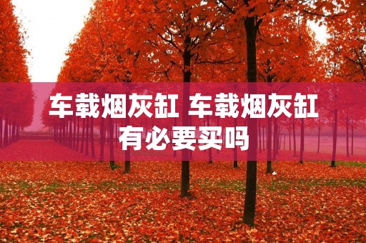 车载烟灰缸 车载烟灰缸有必要买吗