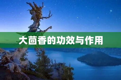 大茴香的功效与作用