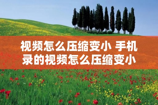 视频怎么压缩变小 手机录的视频怎么压缩变小 视频怎么压缩变小 手机录的视频怎么压缩变小