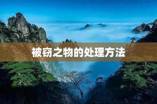 被窃之物的处理方法 被窃之物的处理方法