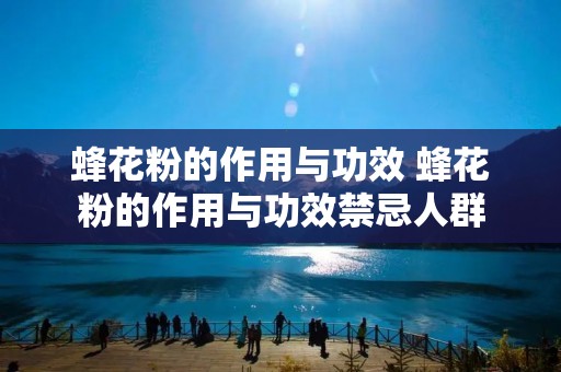 蜂花粉的作用与功效 蜂花粉的作用与功效禁忌人群