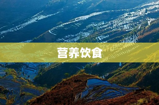 营养饮食:健康生活的基石 营养饮食:健康生活的基石