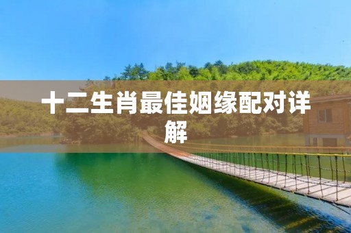 十二生肖最佳姻缘配对详解