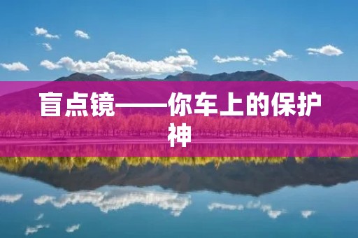 盲点镜——你车上的保护神 盲点镜——你车上的保护神