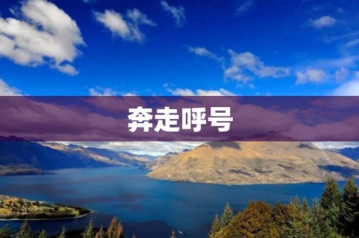 奔走呼号:青春洒热血的故事 奔走呼号:青春洒热血的故事