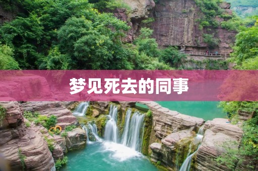 梦见死去的同事:解析与寓意
