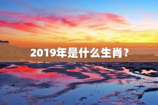 2019年是什么生肖?