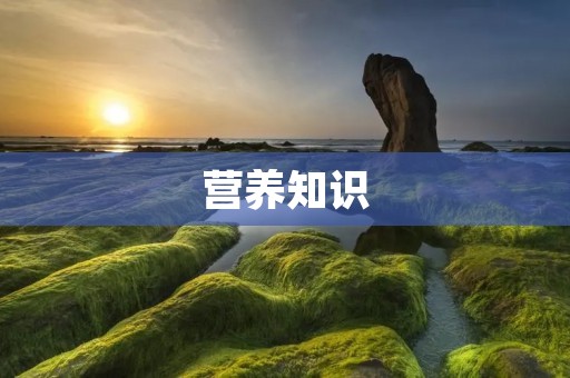 营养知识:如何正确科学地饮食 营养知识:如何正确科学地饮食