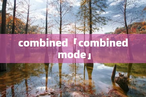 combined「combined mode」 combined「combined mode」
