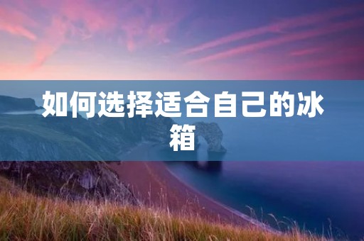 如何选择适合自己的冰箱