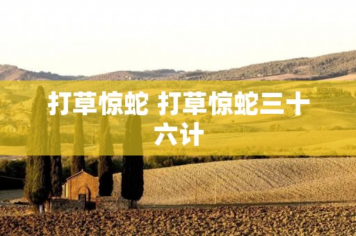 打草惊蛇 打草惊蛇三十六计