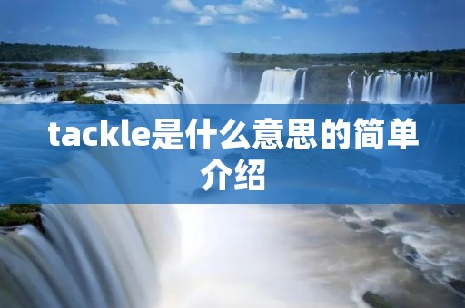 tackle是什么意思的简单介绍 tackle是什么意思的简单介绍