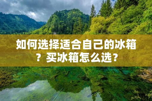 如何选择适合自己的冰箱？买冰箱怎么选？