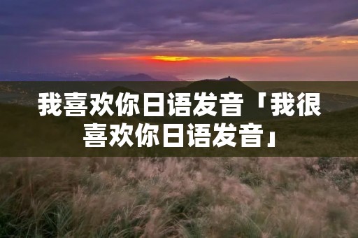 我喜欢你日语发音「我很喜欢你日语发音」