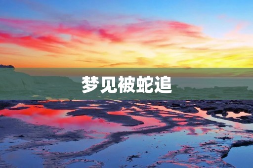 梦见被蛇追：是什么含义？