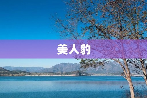 美人豹:人类与野生动物的冲突 美人豹:人类与野生动物的冲突