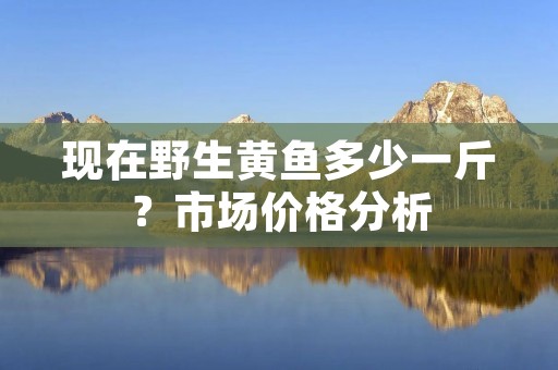 现在野生黄鱼多少一斤？市场价格分析