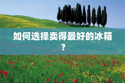 如何选择卖得最好的冰箱? 如何选择卖得最好的冰箱?