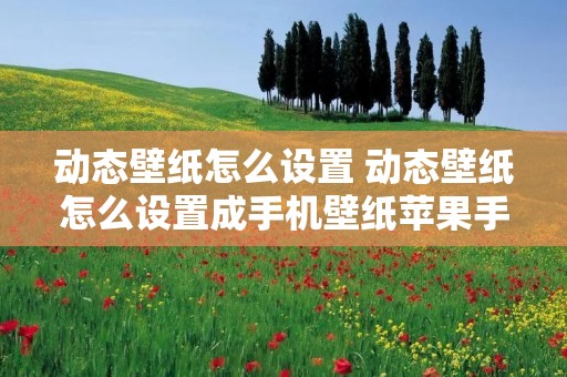 动态壁纸怎么设置 动态壁纸怎么设置成手机壁纸苹果手机