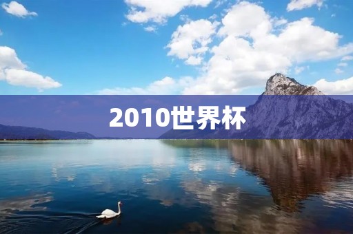 2010世界杯:历史上最具有影响力的足球盛宴