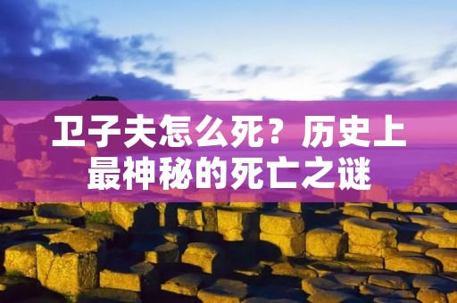 卫子夫怎么死?历史上最神秘的死亡之谜
