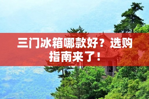 三门冰箱哪款好?选购指南来了!