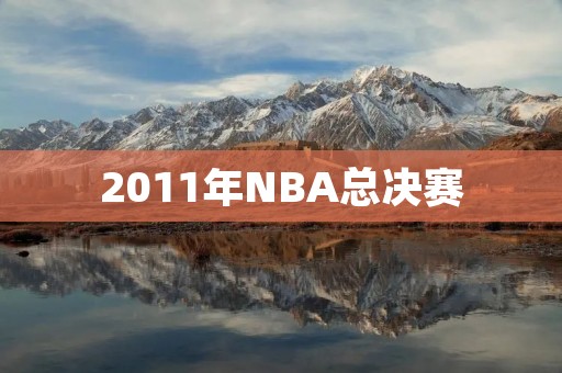 2011年NBA总决赛：小牛逆袭夺冠