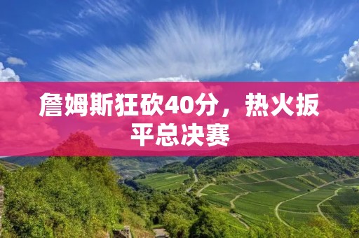 詹姆斯狂砍40分,热火扳平总决赛 詹姆斯狂砍40分,热火扳平总决赛