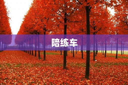 陪练车：让孩子的学车旅程更加安全便捷