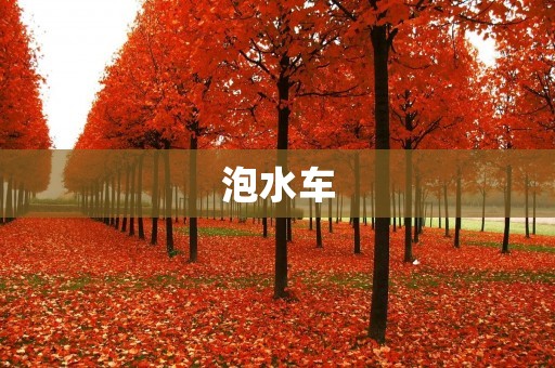 泡水车：让你的行车更加安全