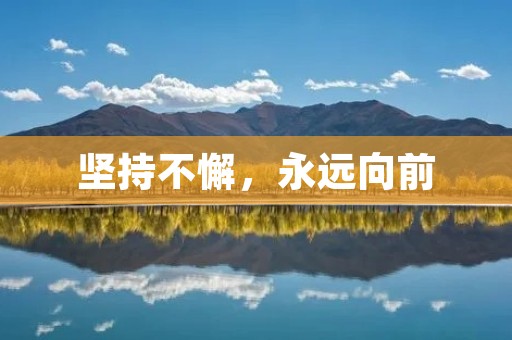 坚持不懈,永远向前