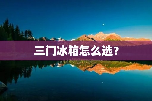 三门冰箱怎么选?