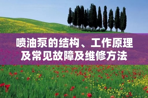 喷油泵的结构、工作原理及常见故障及维修方法 喷油泵的结构、工作原理及常见故障及维修方法