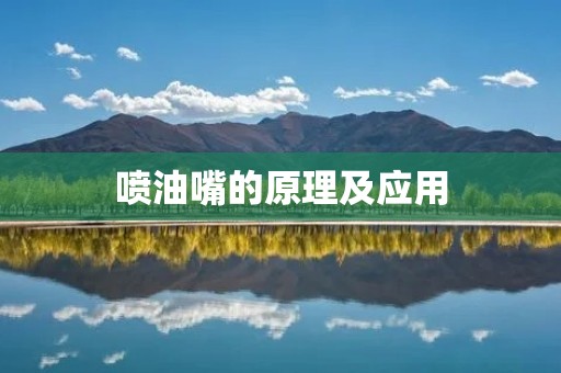 喷油嘴的原理及应用 喷油嘴的原理及应用