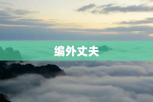 编外丈夫:他们的职业和生活 编外丈夫:他们的职业和生活