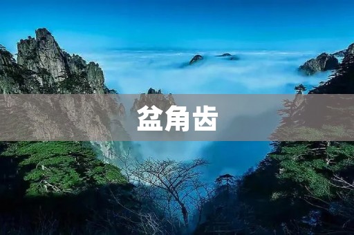盆角齿:一种罕见的牙齿畸形病 盆角齿:一种罕见的牙齿畸形病